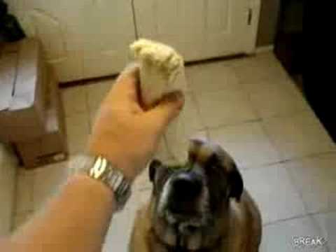 Original Video Thumbnail